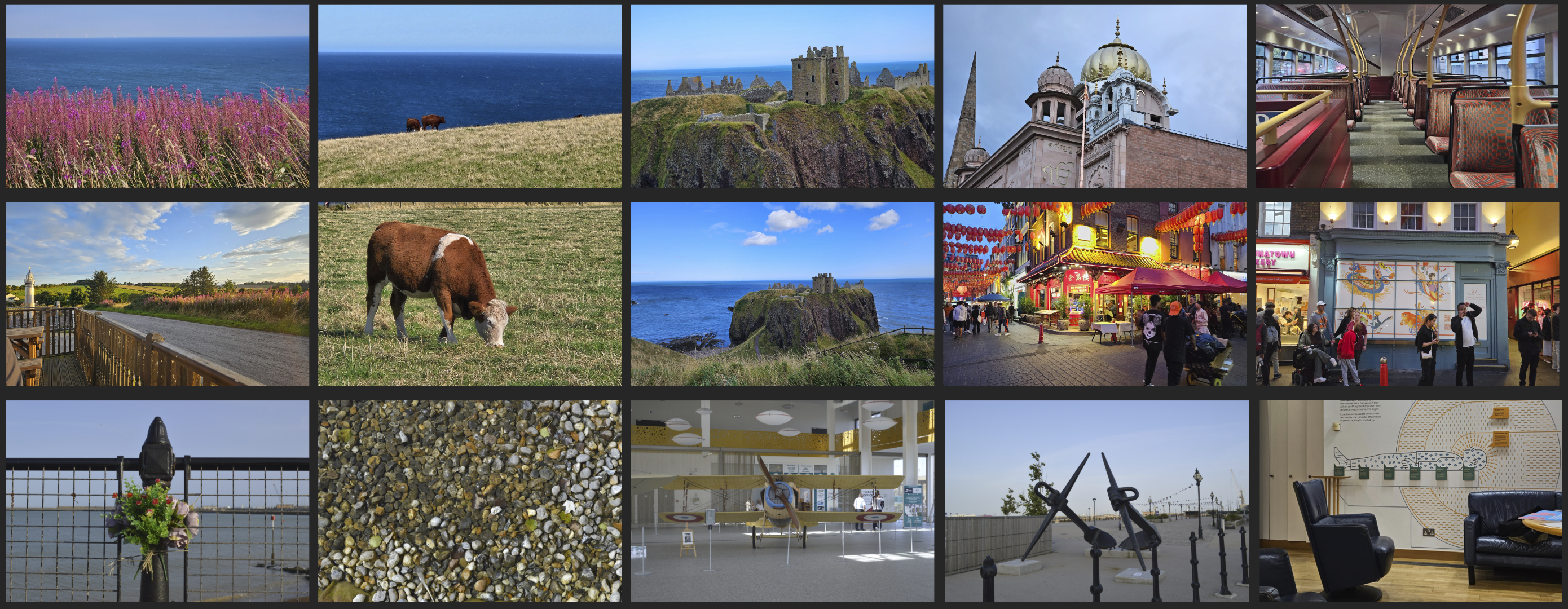 Natural landscape dataset samples