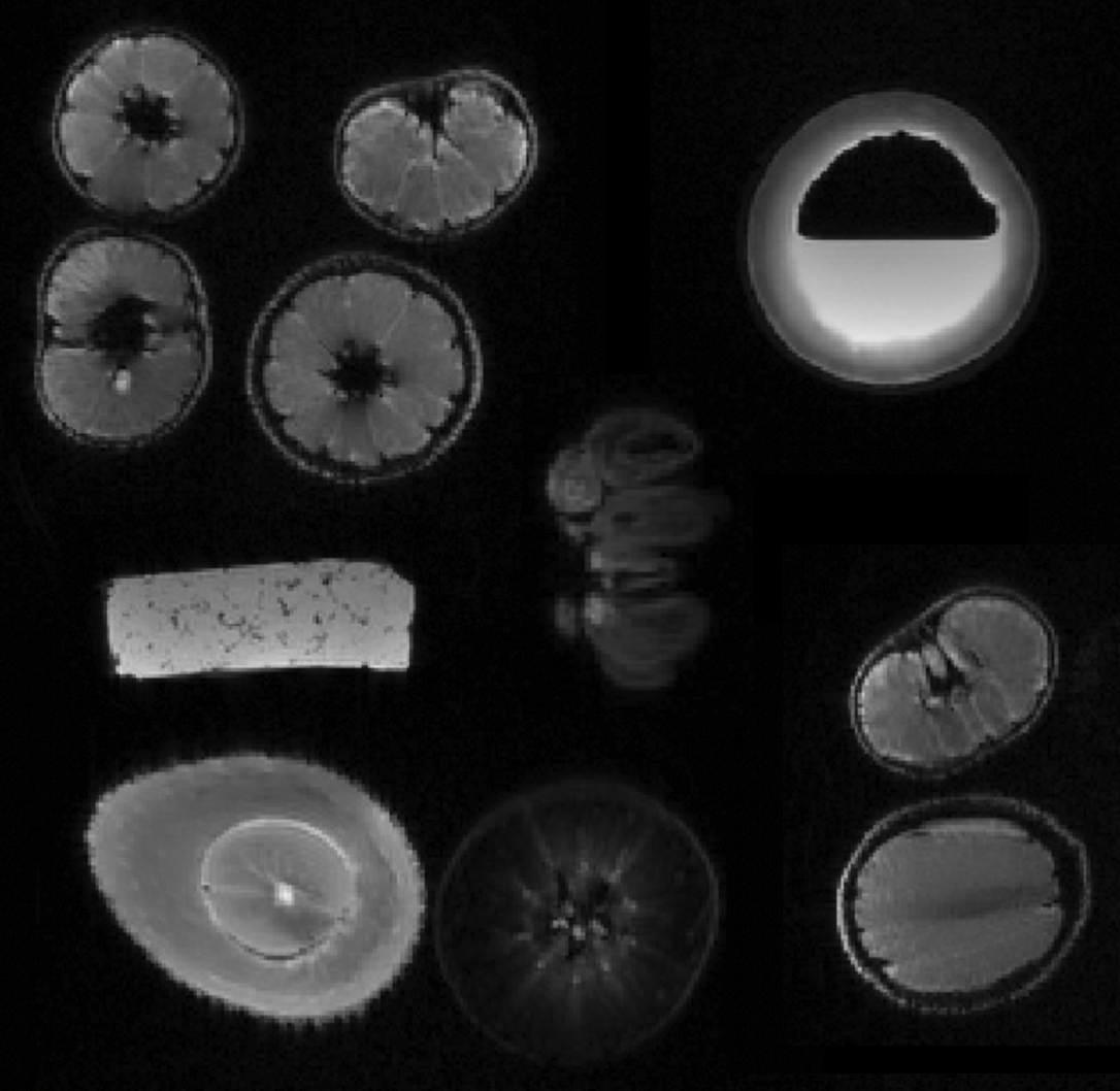 Fruit scanned in a 3T MRI scanner