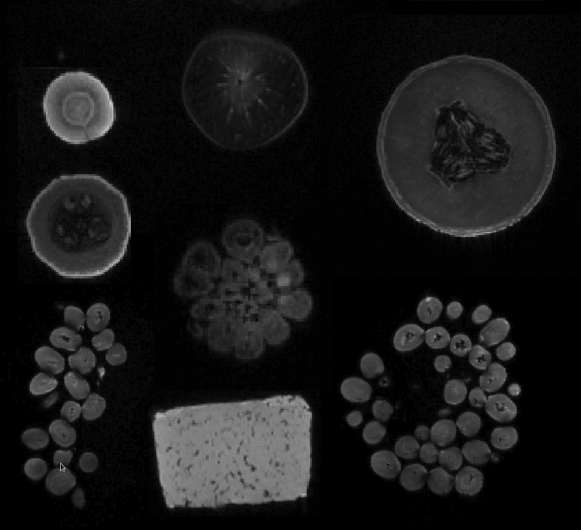 Fruit scanned in a 3T MRI scanner