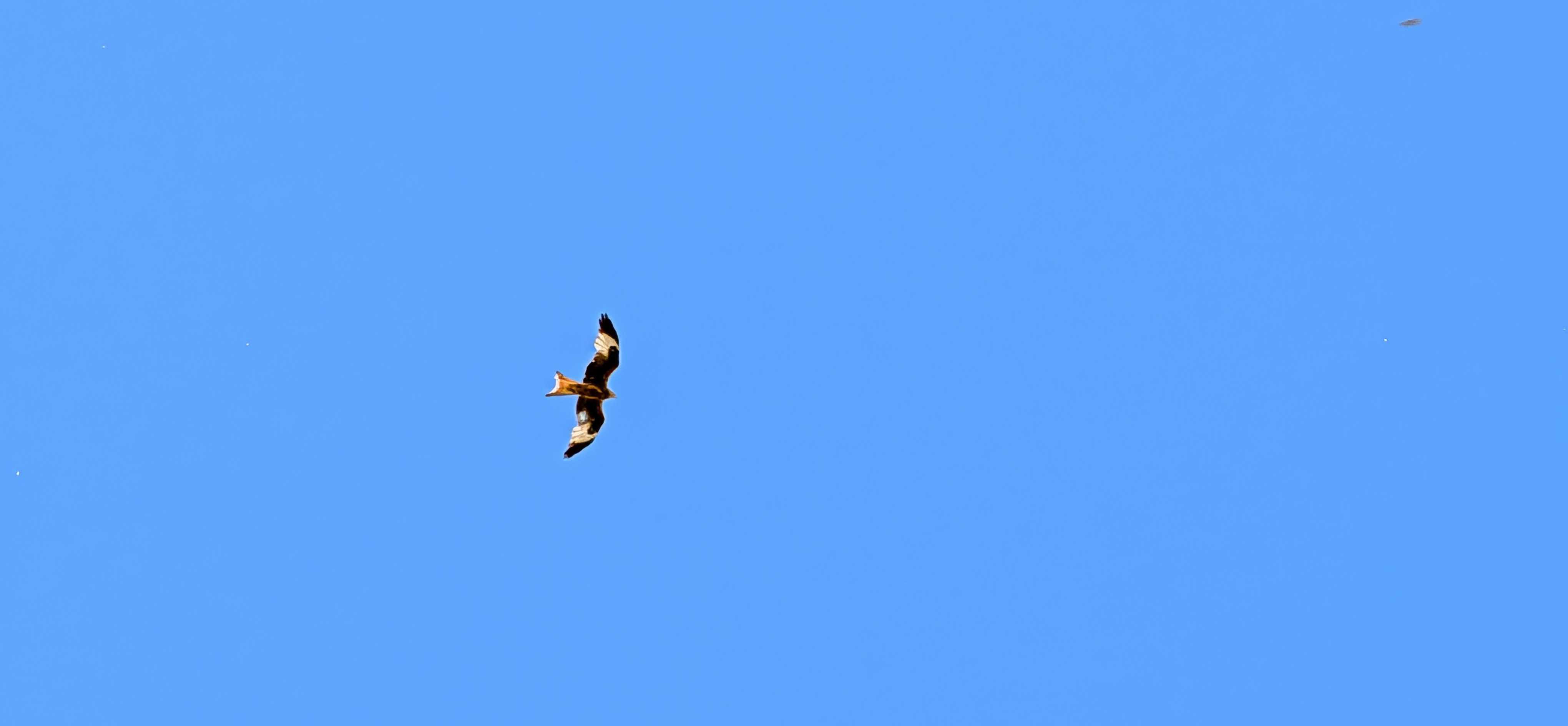 Sky landscape